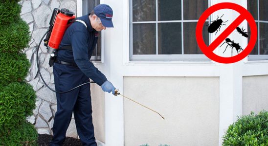 Sultandağı Kene İlaçlama böcek ilaçlama ve haşere kontrolü — ilaclama-tr.com